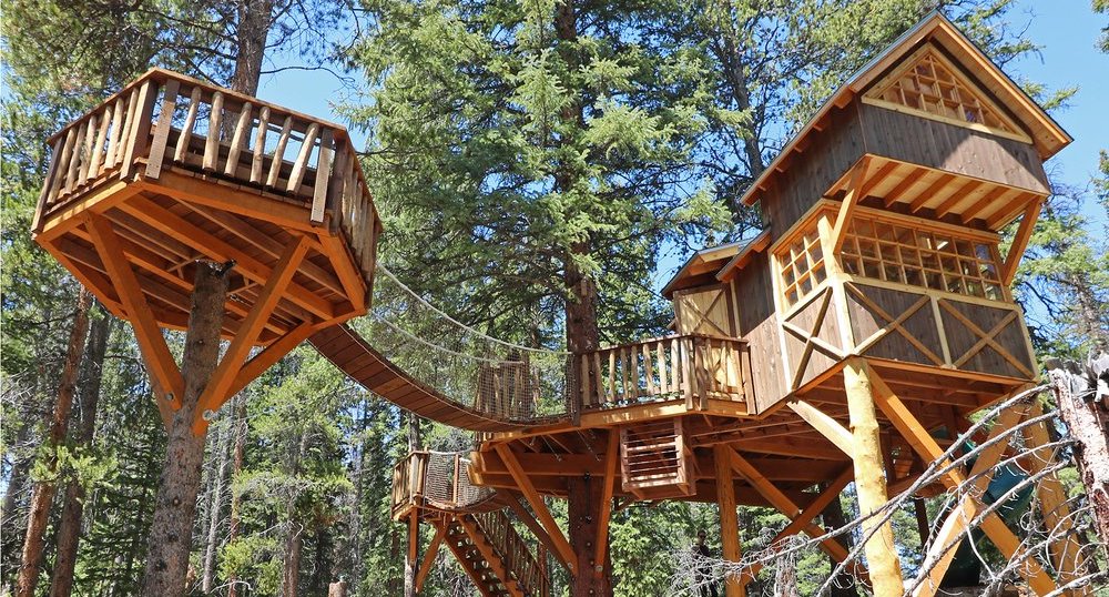 Tree Fort